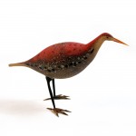 Little Red Heron