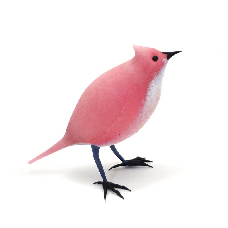 T Is for Titmouse