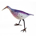 The Purple Willet