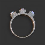 Titanium Series Ring #P039
