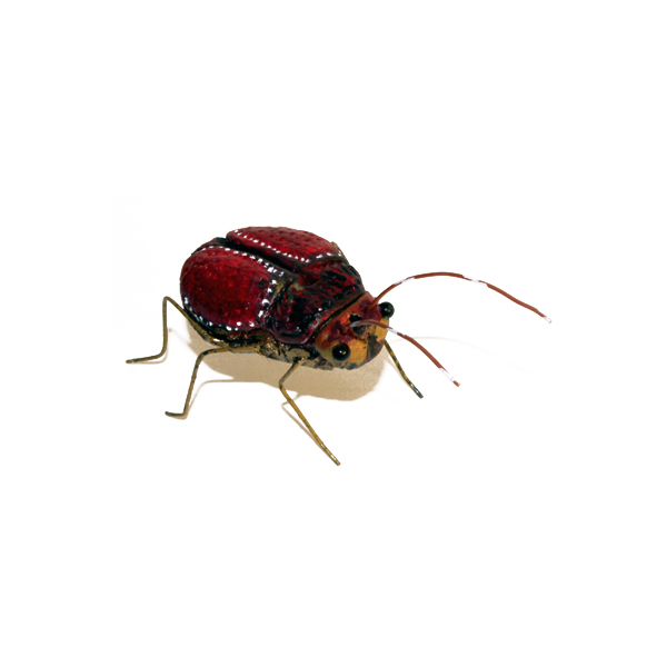 Andrea Uravitch, Beetle