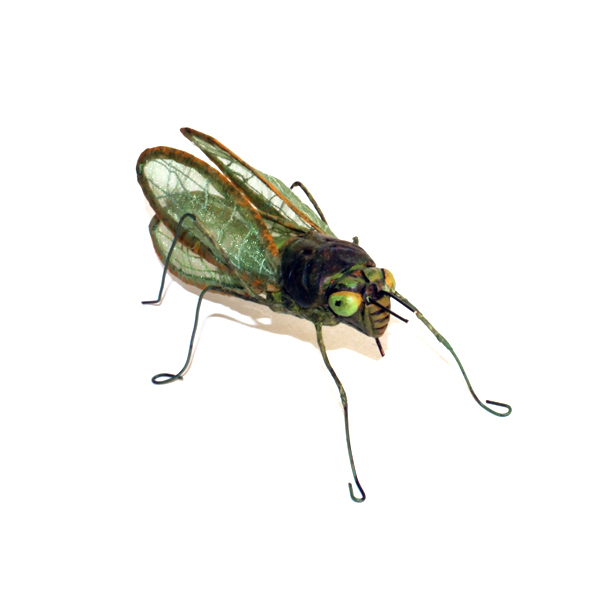 Andrea Uravitch, Grasshopper