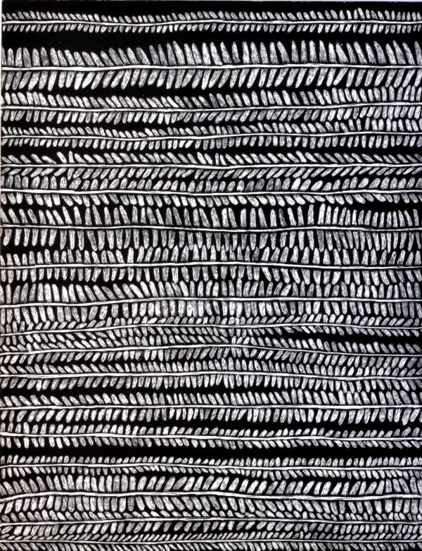 Cynthia Toops - Untitled