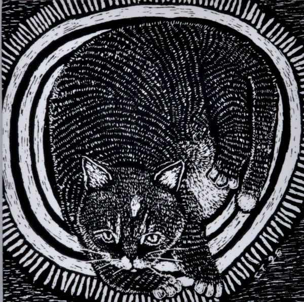 Cynthia Toops - Not Moving