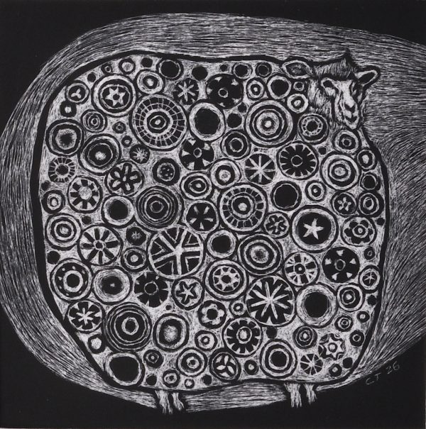 Cynthia Toops - Sheep in the Spotlight
