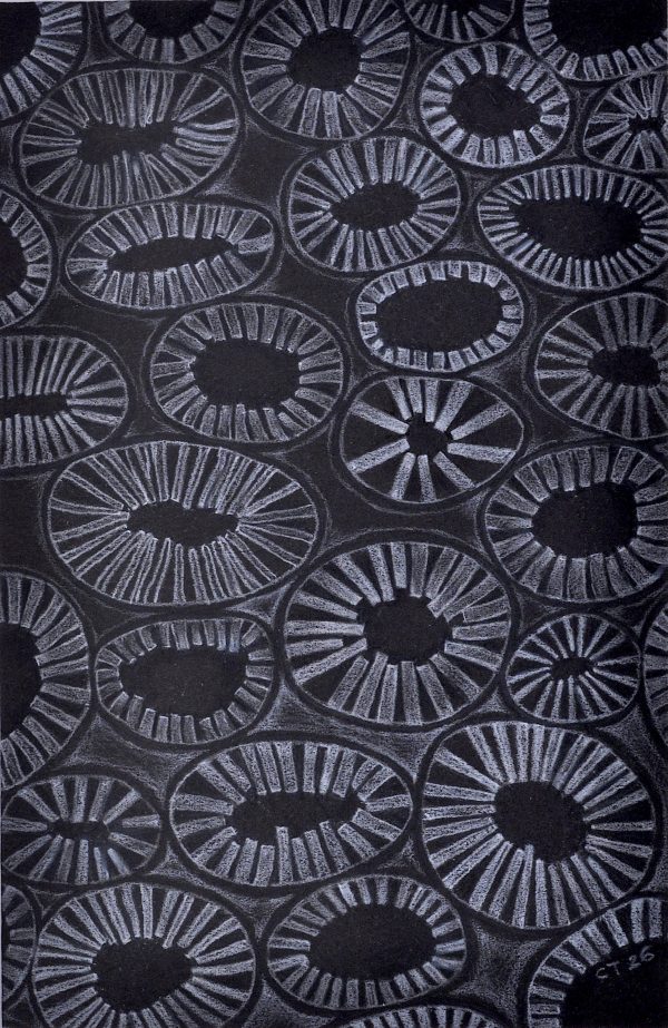 Cynthia Toops - Untitled