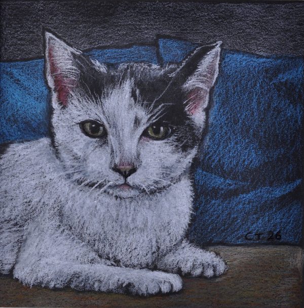 Cynthia Toops - Cat on a Table